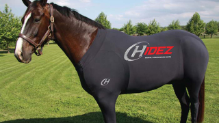 Illustration for article titled What the F*ck Is This Full-Body Horse Suit From Hell?